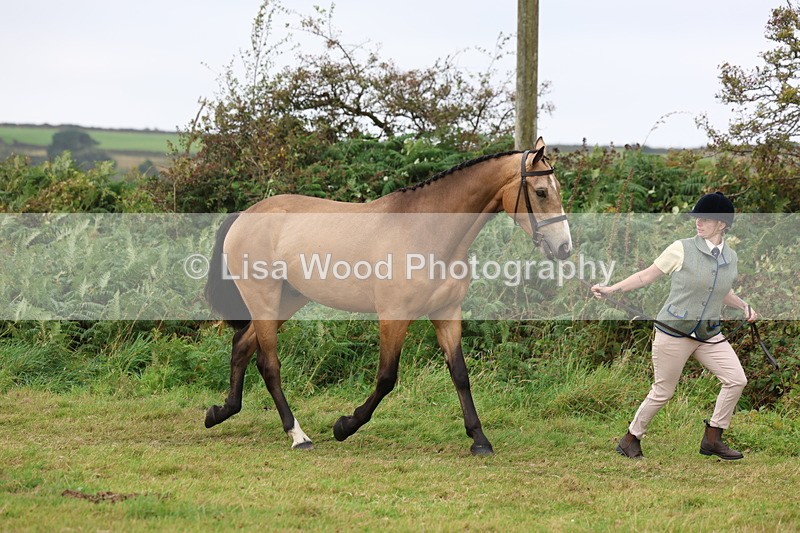 3E7A4352 - Class 15: Three Year Olds