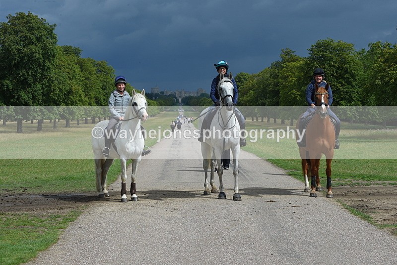 TT3_9219 - Time at Crossing 09:22 to 11:26