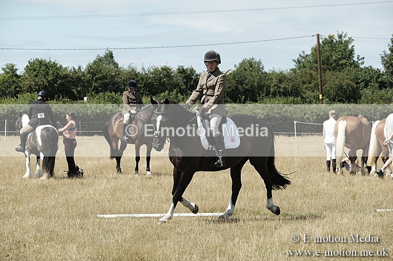 _PJP5858 - Dressage Classes BVRC Show 2018