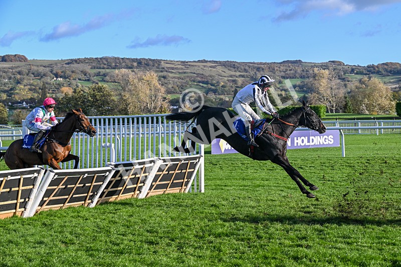251025-Race 5-Caballo De Guerra-9507 - Race 5