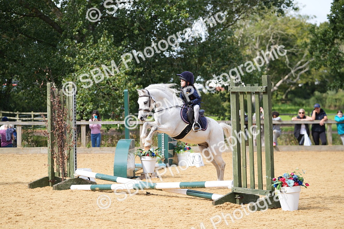 SBM_65699 - J2 - Mini Tour Junior Pony 30cm Championship