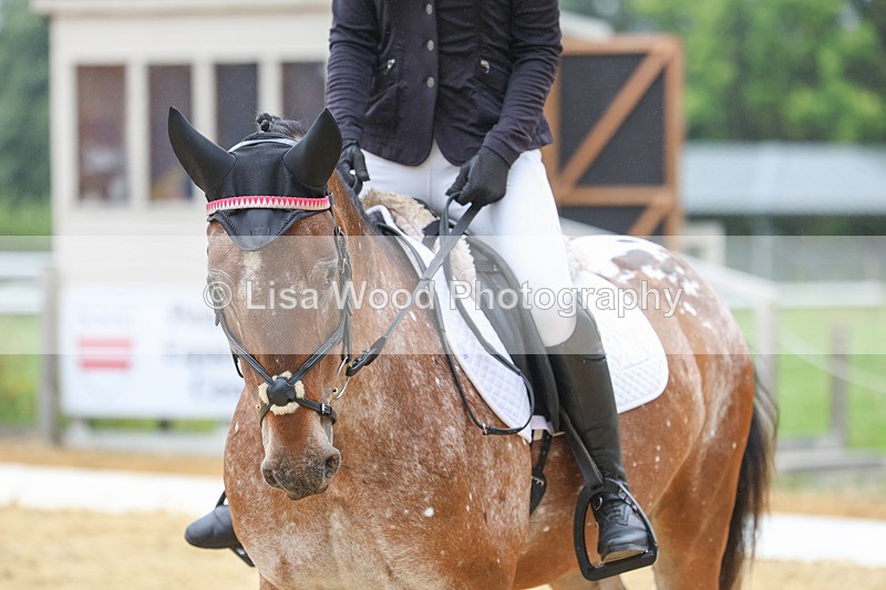 3E7A5390 - Class 2: Intro 4 2024 section B