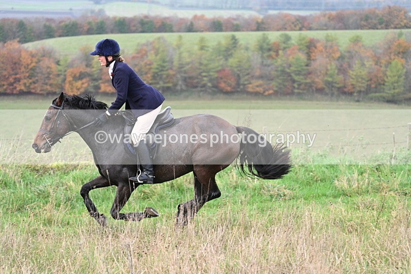 WJ7_0019 - Camera 1 & Last fence