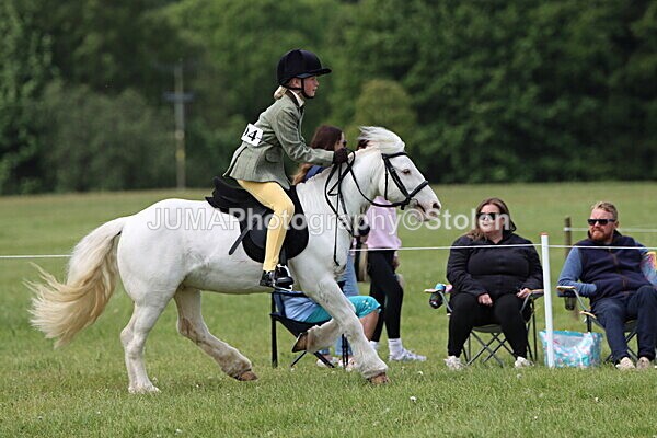IMG_2662 - Working Hunter