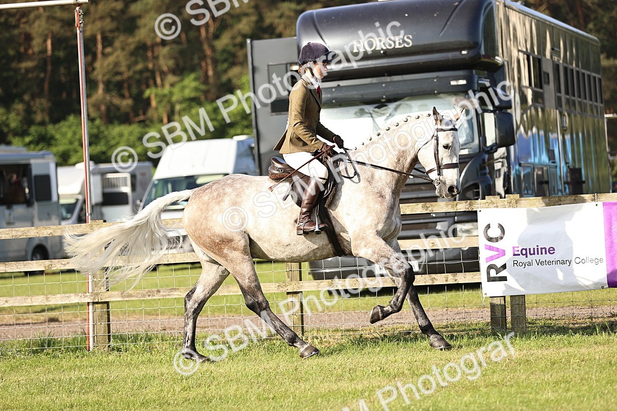 SBM_10651 - Class 73-74 - LIHS BSHA Open Style & Performance