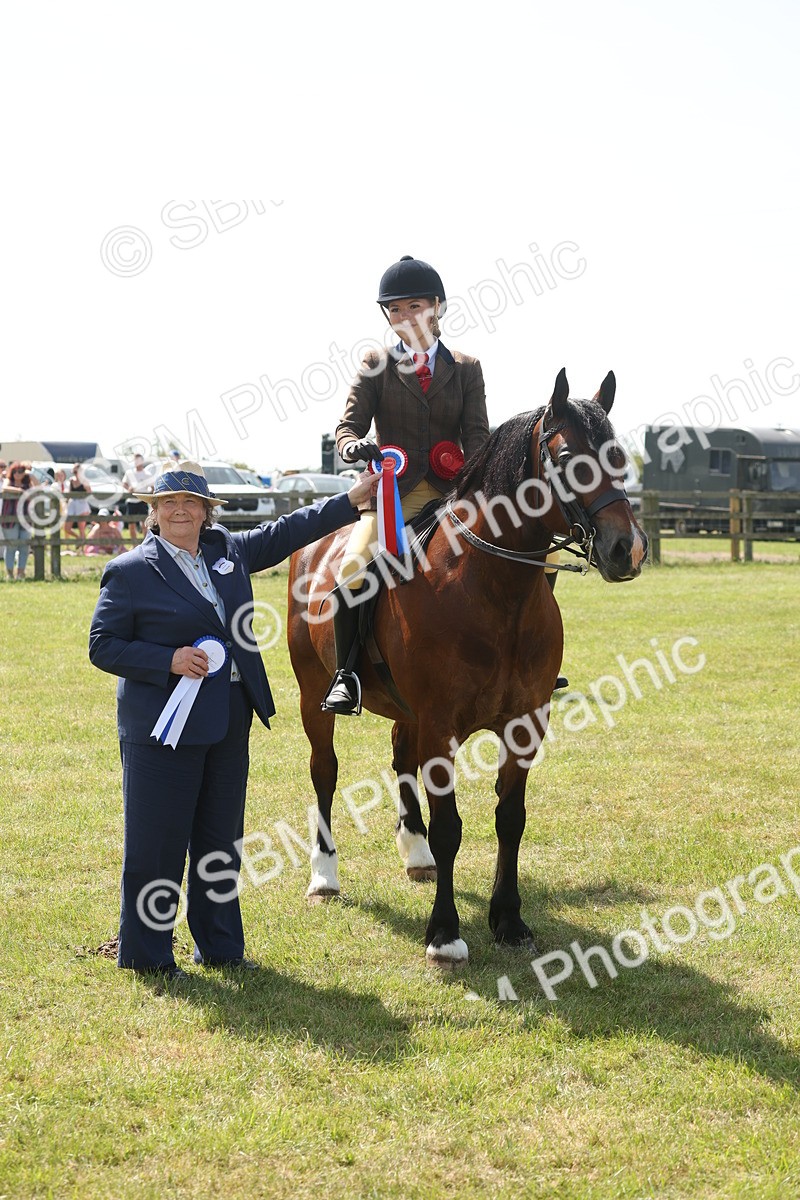 SBM_07729 - Class 26-30 - Mountain and Moorland Ridden