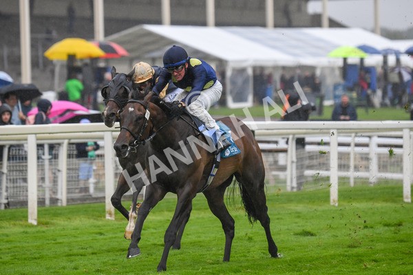 140723-Race 5-Monte Linas-0509 - Race 5 4.25pm Coopers Marquees Handicap