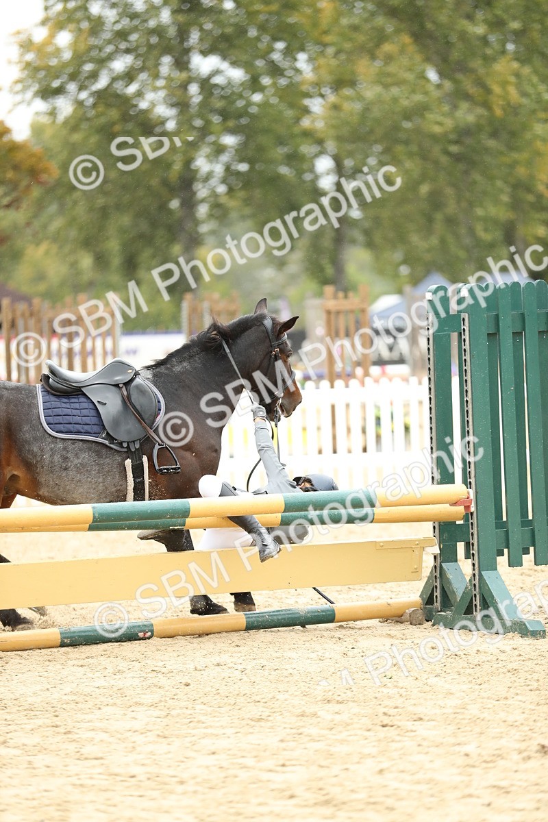 SBM_70217 - J15 - Junior Pony 70cm Championship