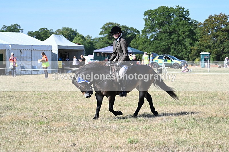 WJ7_3302 - Class 8 Ridden Tack & Turnout