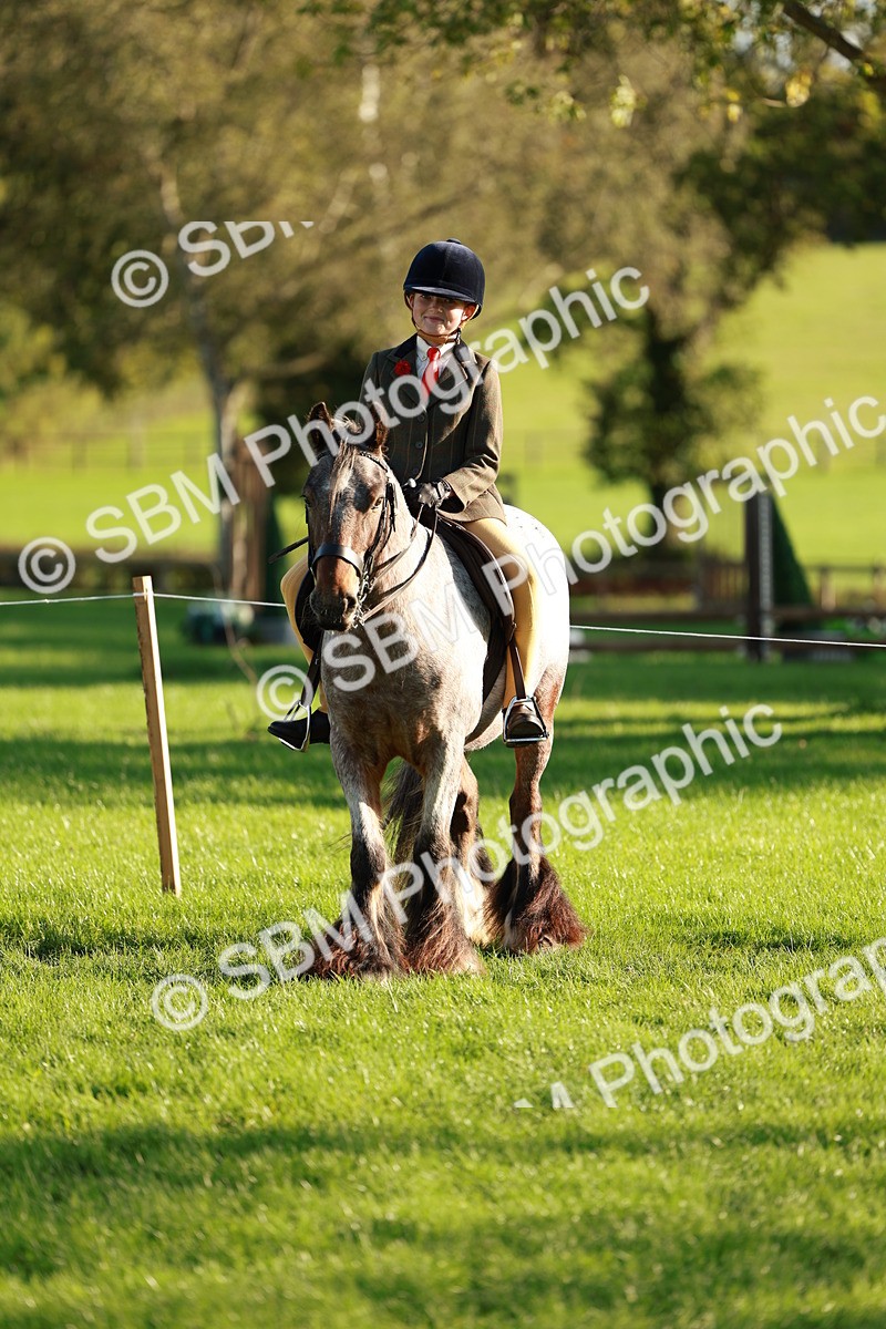 SBM_28756 - S7 - Novice & Newcomer Ridden Pony