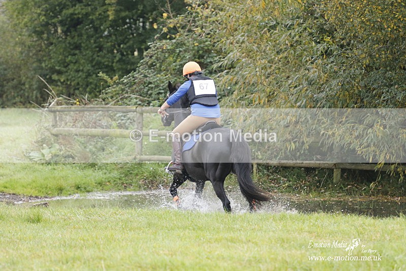  WWHT 171021 0901 - Open Novice (0.80m)  17/10/21