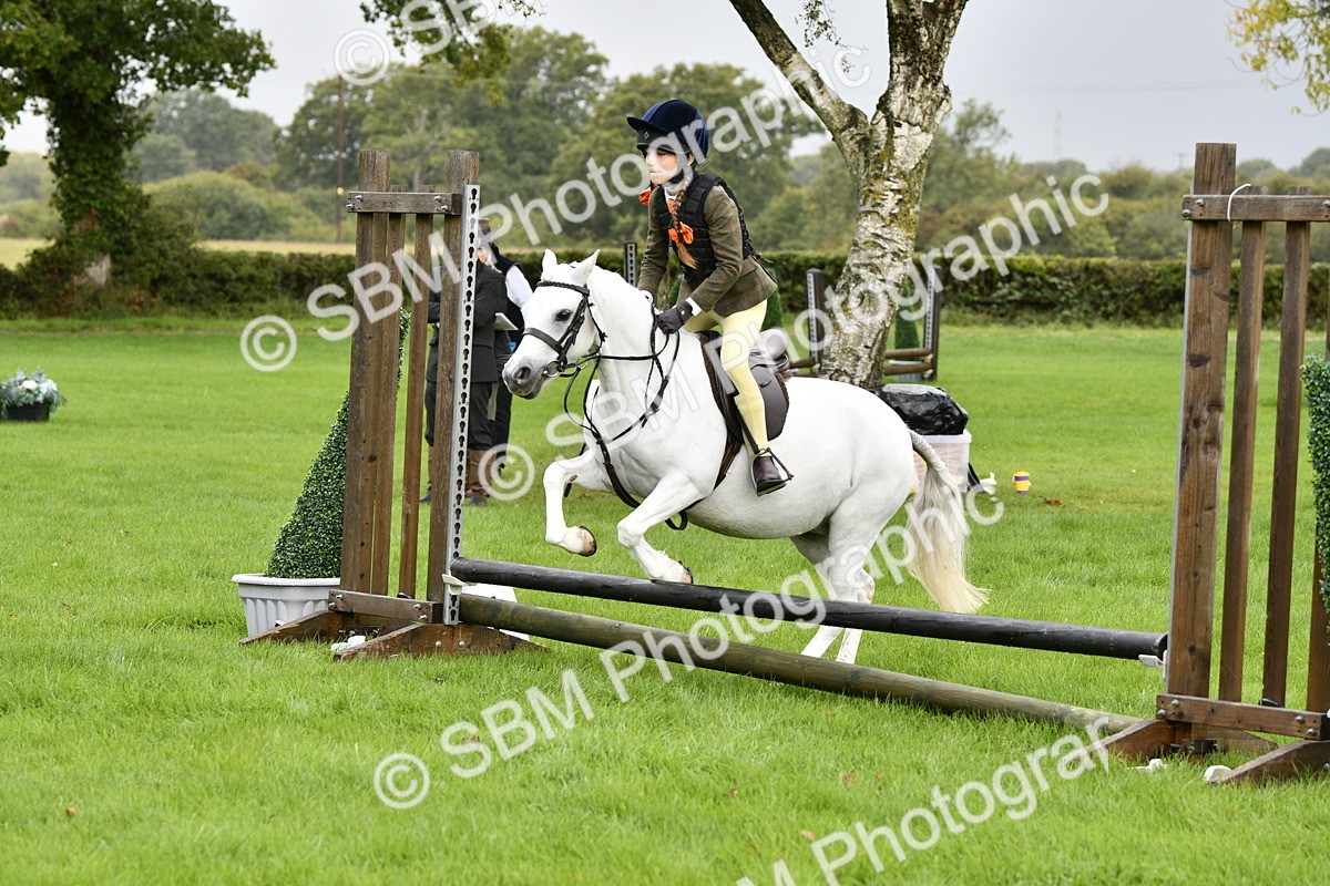 SBM_35449 - S30 - Nursery Stakes Working Hunter Pony