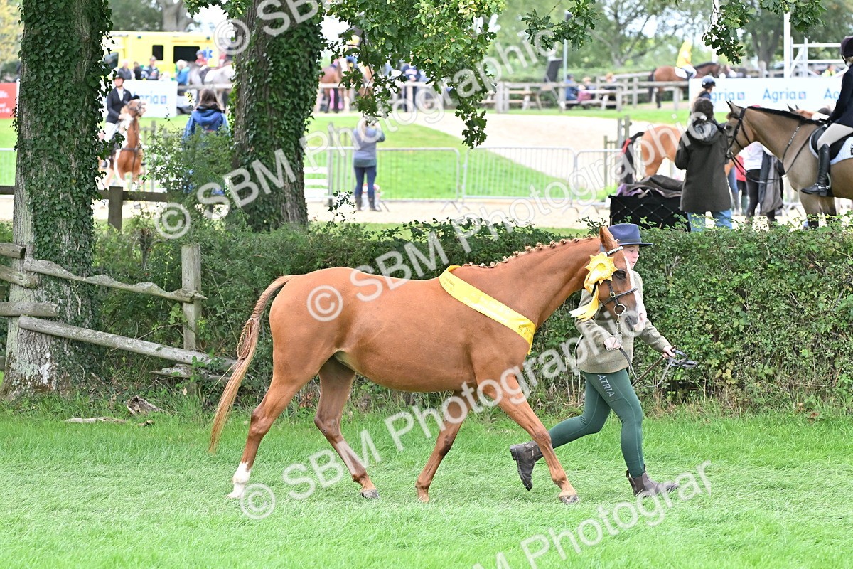 SBM_64996 - In Hand Pony & Younstock Supreme Championship