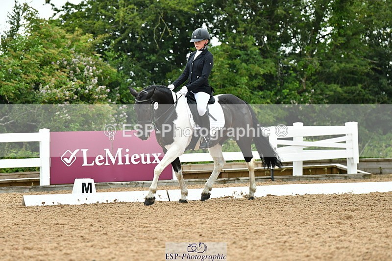 230708A-120034-02685 - Prelim 13