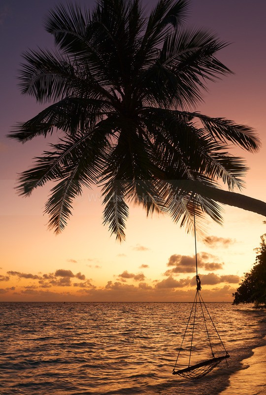 0124_45 - Maldives
