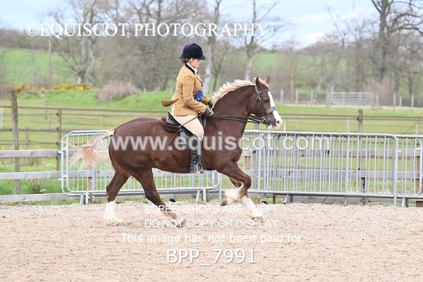 BPP_7991 - SUPREME CHAMPIONSHIP