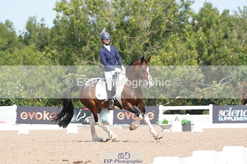 250817-122606-09329 - 050-Mollie.SheathTouch.Wood