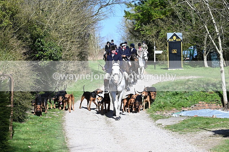WJ7_9653 - Home for hunt tea !