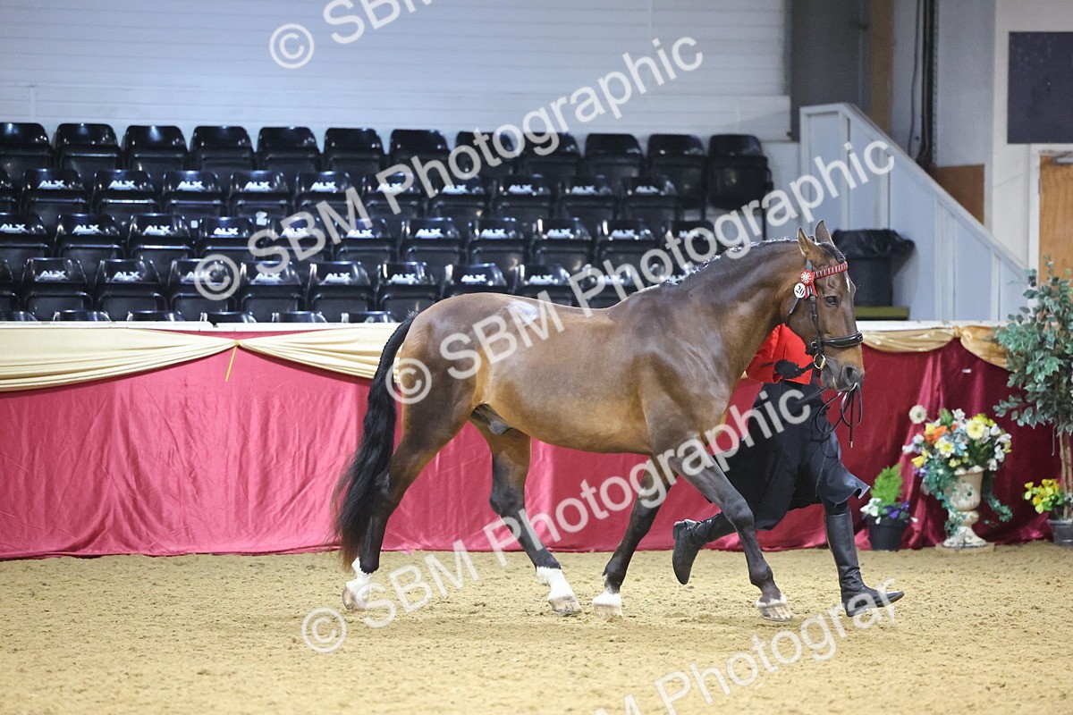 SBM_20786 - Class 902 - Supreme Final IH Veteran