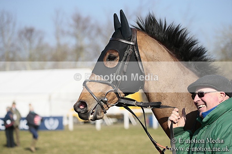 PtP 240218 195 - Vine & Craven Hunt Point-to-Point Barbury racecourse 24/02/18