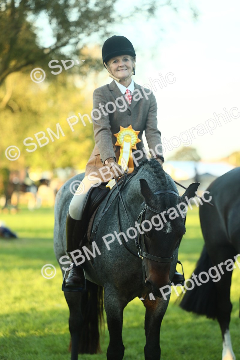 SBM_56548 - S14 - Riding Club Horse