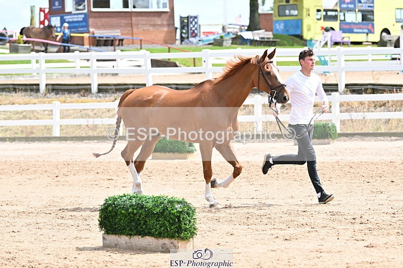 240717A-144247-02218 - Trot Up 2pm to 3pm - This folder is not in time order