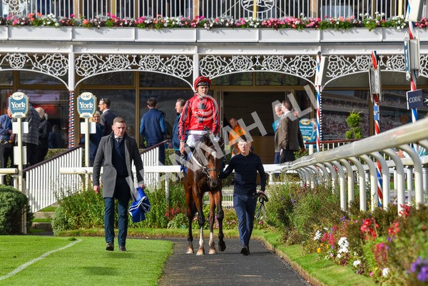 141023-Race 4-Colorada Dancer-1221 - Race 4 3.05pm Coral Racing Club EBF Maiden Stakes