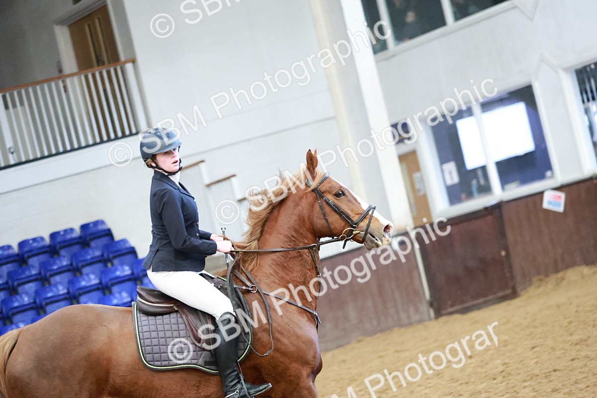 SBM_002991 - Class 9 - Senior British Novice - 90cm