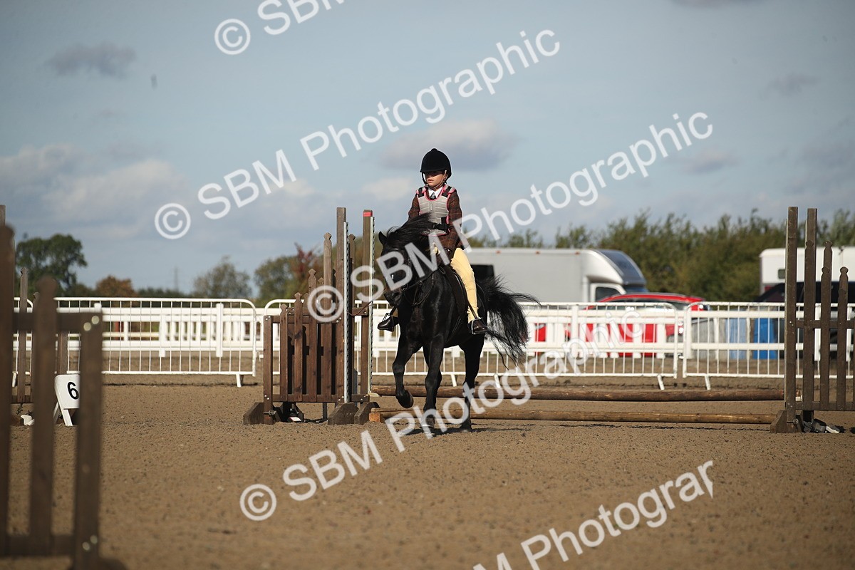 SBM_12687 - Class 504a - Junior Working Veterans - 40cm (15-19)