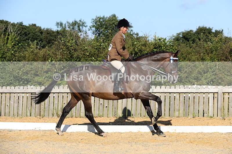 1X9A7570 - Class 7: Novice Ridden Hunter/Hack/Cob/Riding Horse
