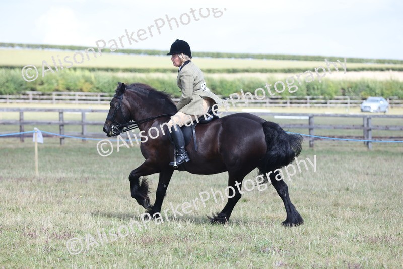 20250831-2953 - Class 19 - Mountain and Moorland