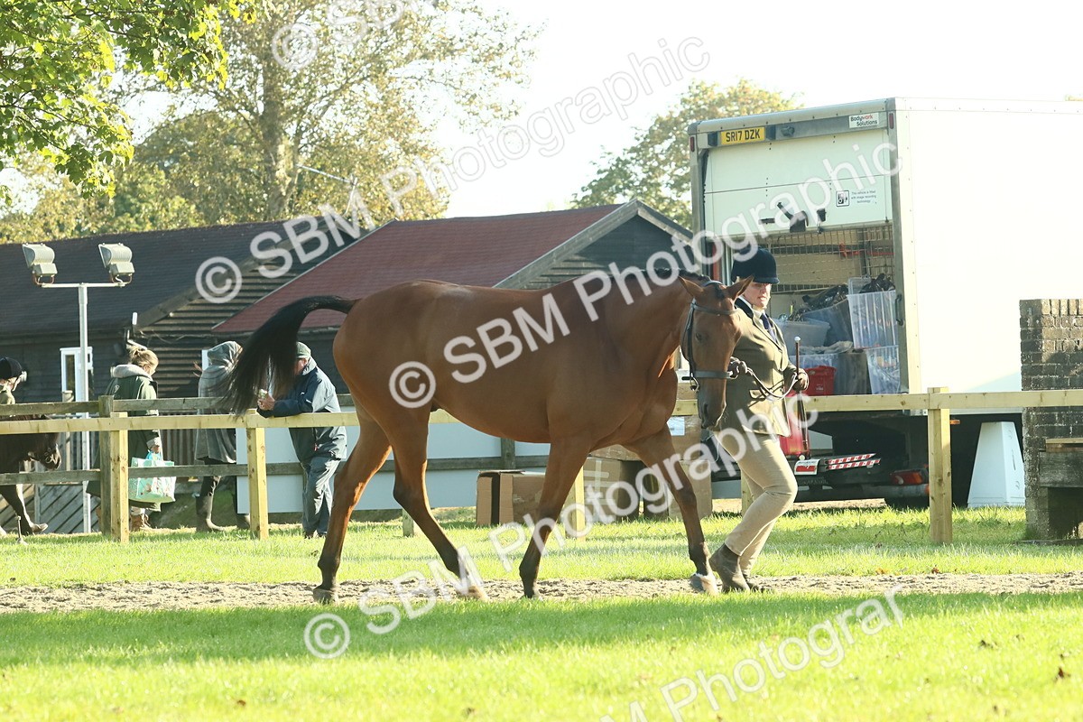 SBM_58556 - S37 - Starters In Hand Showing