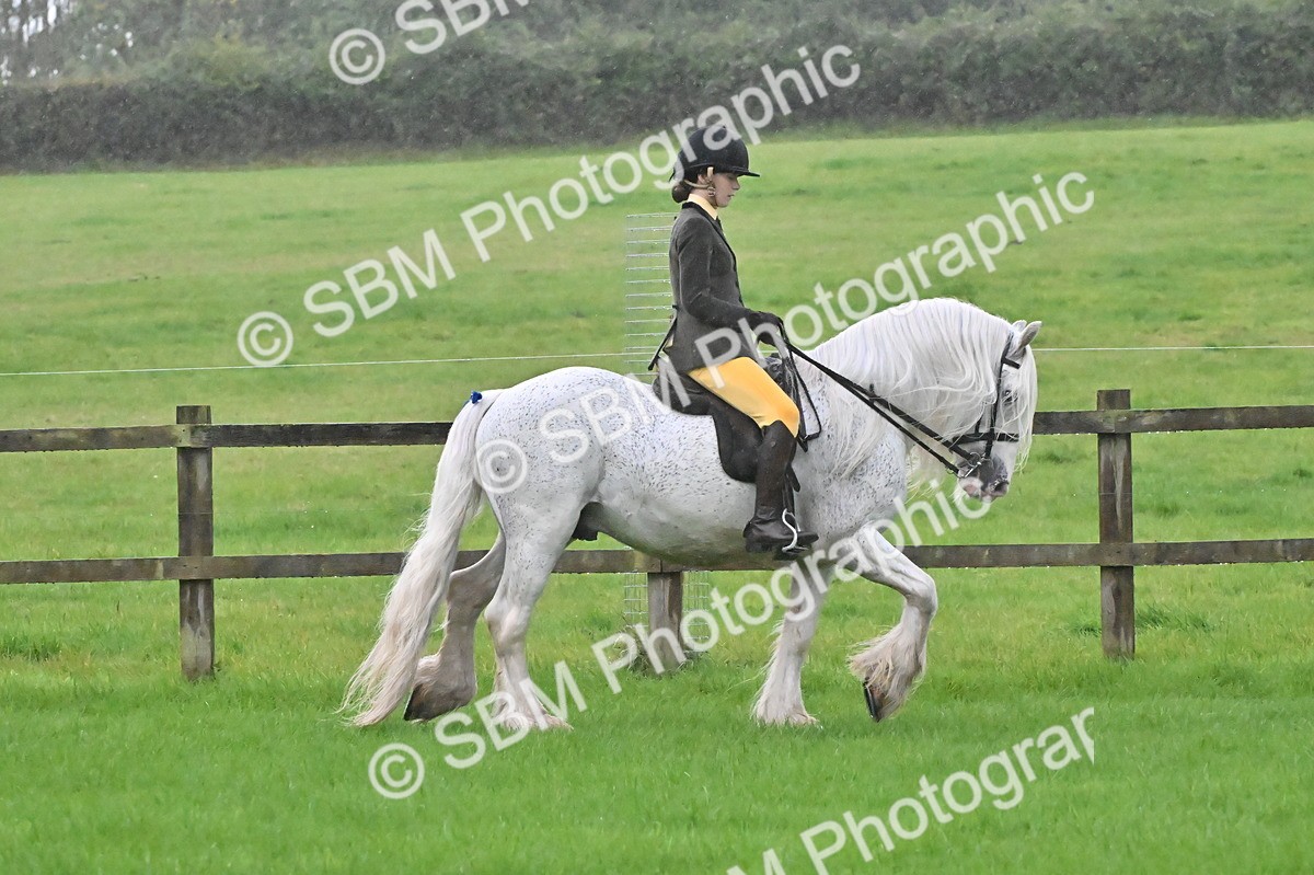 SBM_35633 - S16 - Top Turnout - Ridden