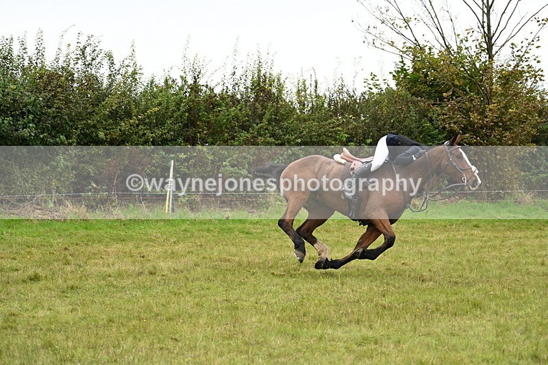 WJ7_4173 - Camera 1 Line 2