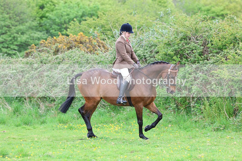 3E7A1966 - Class 10: Ridden Sports Horse