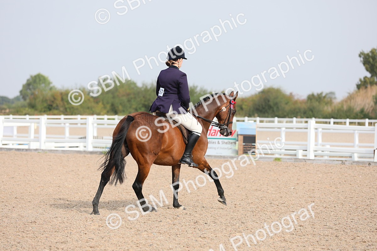 SBM_10903 - Class 304 Ridden Part Bred Horse/Pony