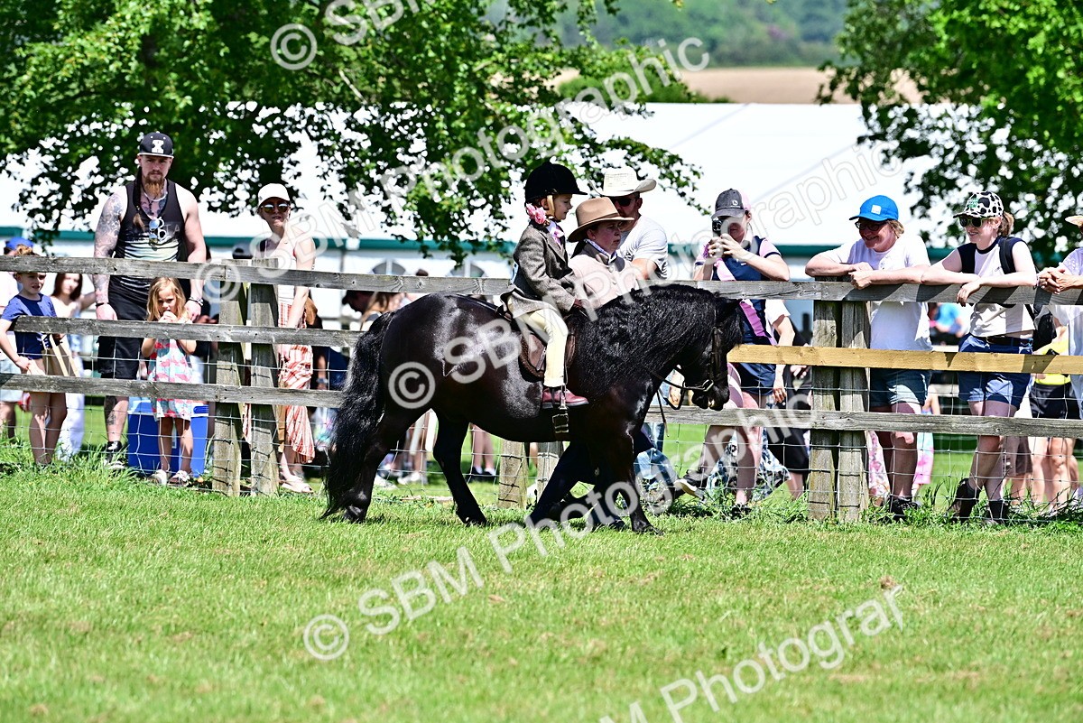 SBM_05867 - Class 59-60 - TSR M&M  Lear Rein and First Ridden Amateur of the year