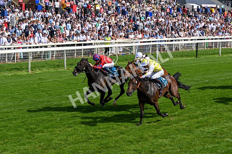 230526-Race 5-Reliable Ricki-0557 - Race 5 15.50pm Reg Bond 'Always And Forever' Handicap