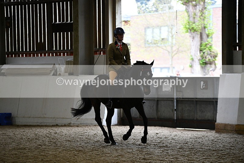 WJ5_6312 - Class 9 Ridden Veteran