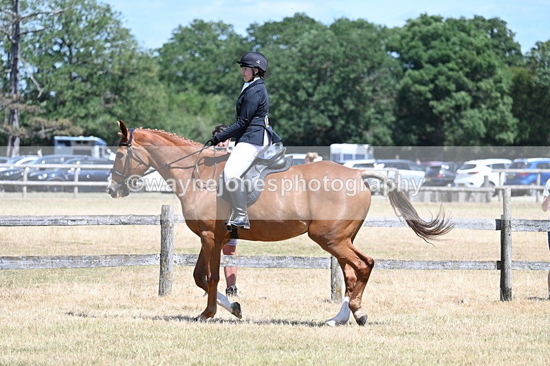 WJ7_2779 - Class 7 Riding Club Show Horse
