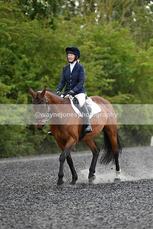 WJ5_0247 - Time 12:24 to 13:01