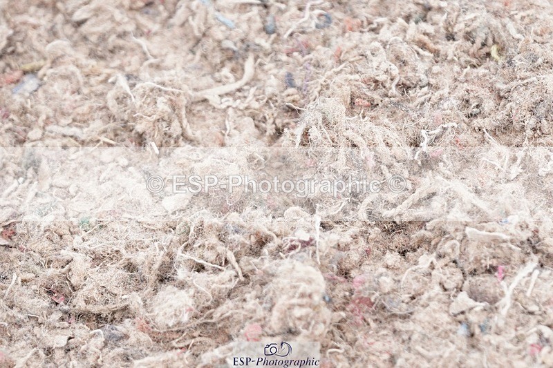 250505-115724-04254 - Cls 18+19 Club and Schools 60cm