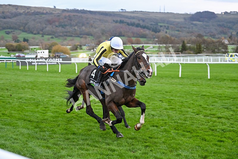 171124-Race 5-Burdett Road-4302 - Race 5