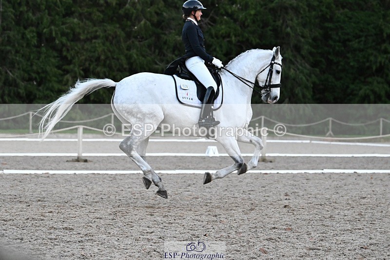 231110-162923-02643 - Cls 14 FEI Grand Prix