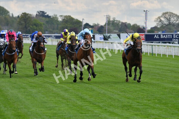 yr12052021r3-13 - Race 3 2.40pm Duke of York Clipper Logistics Stakes