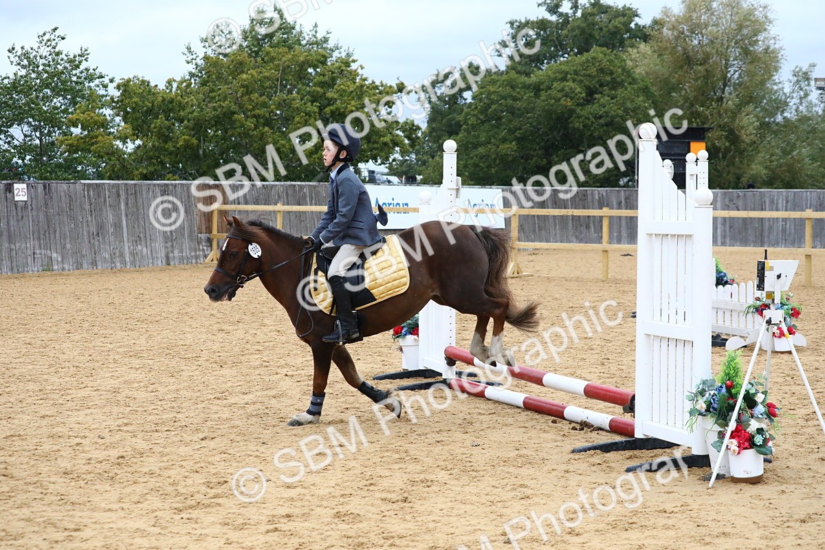 SBM_68419 - J3b - Mini Tour Junior Pony 40cm Championship