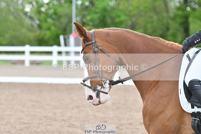 230511A-165447-01441 - Quest Cls 5 Prelim