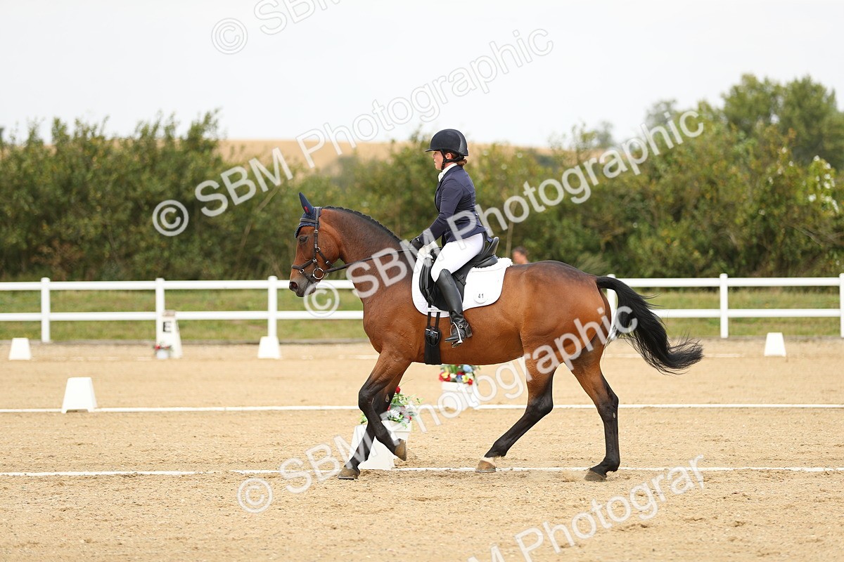 SBM_017335 - Class 13 - Novice 23 - 13.31-14.13