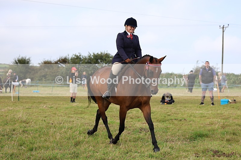 3E7A3992 - Class 4: Best Combination Open