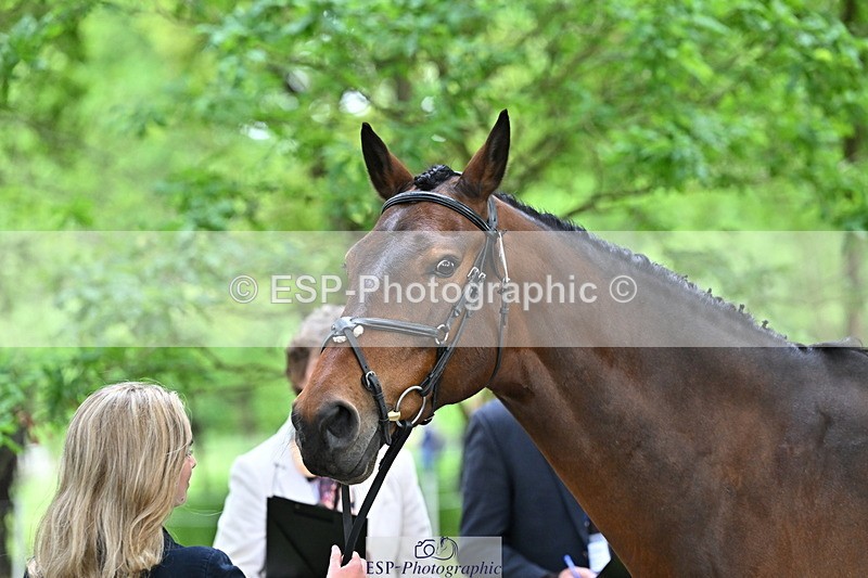 250521A-144158-00174 - A-054-Alice.Gates-SHANBEG.PANDORA